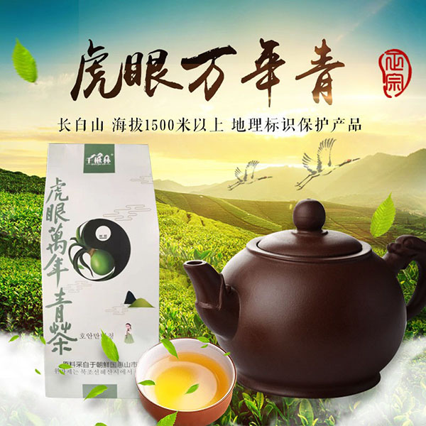 虎眼万年青茶（二）